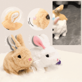 BunnyBot interaktív játék